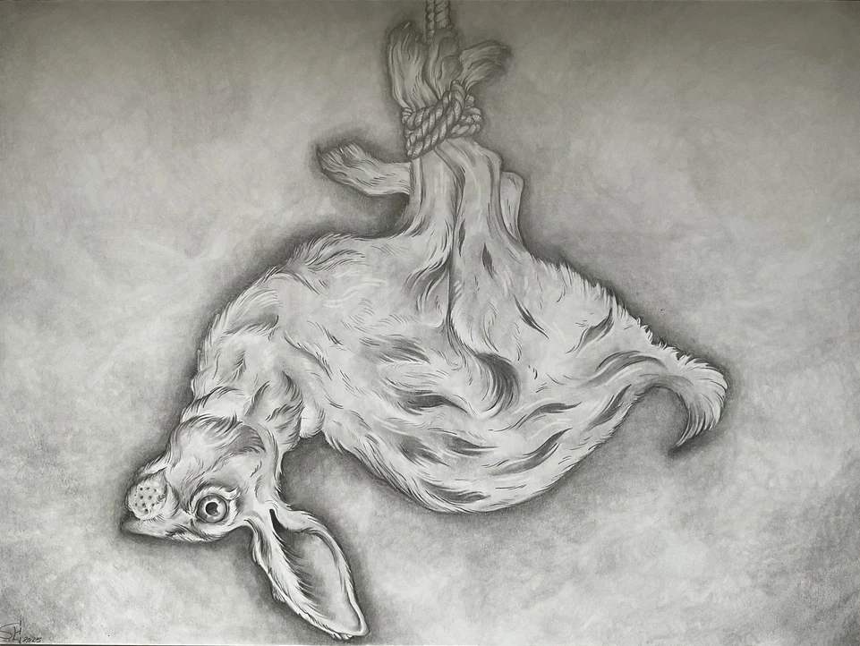 Feldhase, kopfüber gefesselt